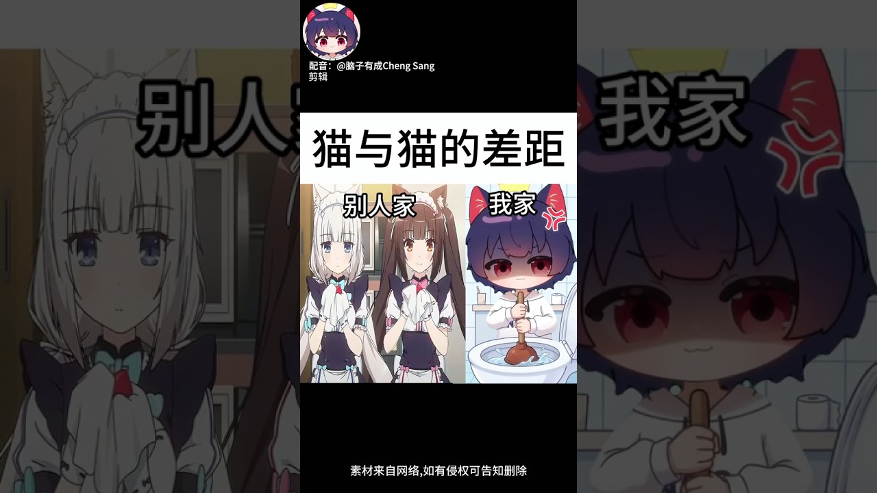 【腦子有成配音】都是貓貓，爲啥差這麽遠？ |梗圖| | MYViki