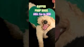 Bichpoo RAPPER Poop Dogg Ate Cat !Gal Outfits Oct31 look thirsty &sinful.Word of GOD:Dress w/DECENCY