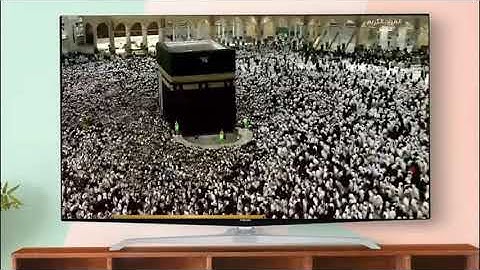 تلاوة هادئة من سورة الشعراء. بصوت. معاذ سعادة