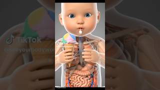 Ai Vedio In Ice Cream ain vedio icecream