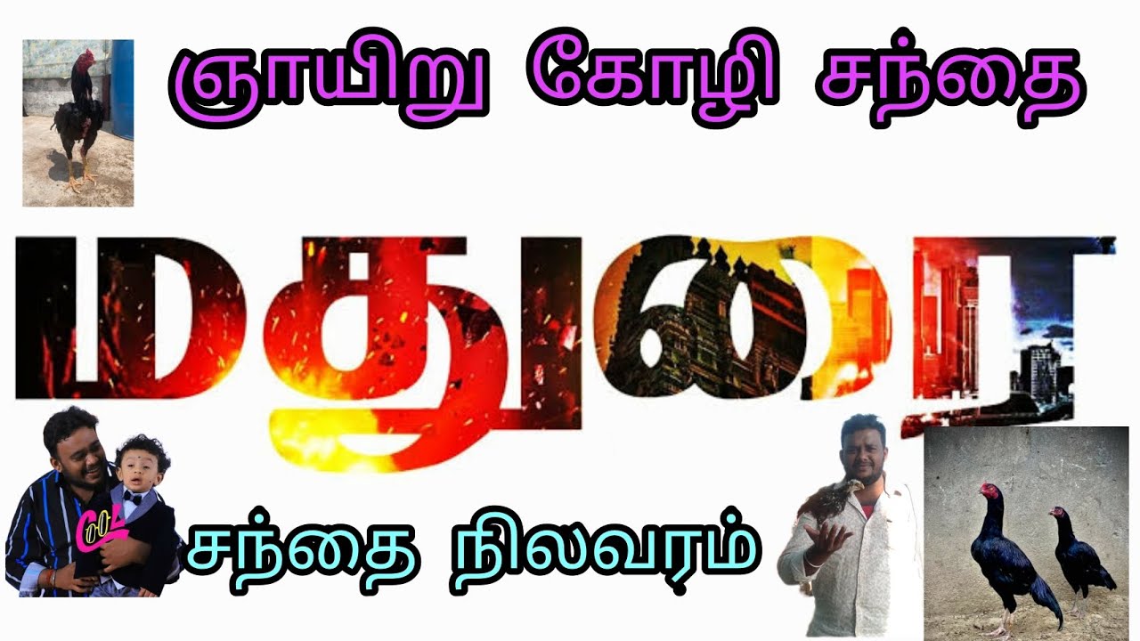 Madurai Sunday Market || மதுரை ஞாயிறு வளர்ப்பு பிராணிகள் சந்தை || சேவல் வளர்ப்பாளர்கள் #petmarket