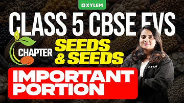 Class 5 CBSE EVS | Seeds and Seeds - Important Portion | Xylem Class 5 CBSE