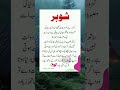 Shohar||Urdu Islamic quotes|Urdu Quotes|Quotes|Urdu Poetry #aqwaldiary #quotes #husband #lovelines