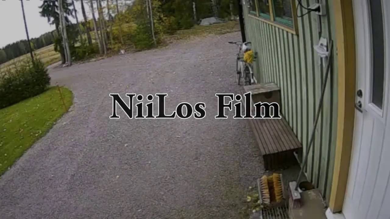 Postia Kissa NiiLolle