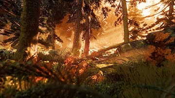 Lazy Day in a Calm Forest 🎧 Relaxing DREAMS Ambience (STUDY | SLEEP | ASMR)