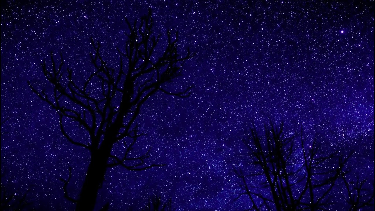 A Billion Dreams. A dreamy, bedtime poetry reading.