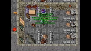 Tibia Arena GreenHorn