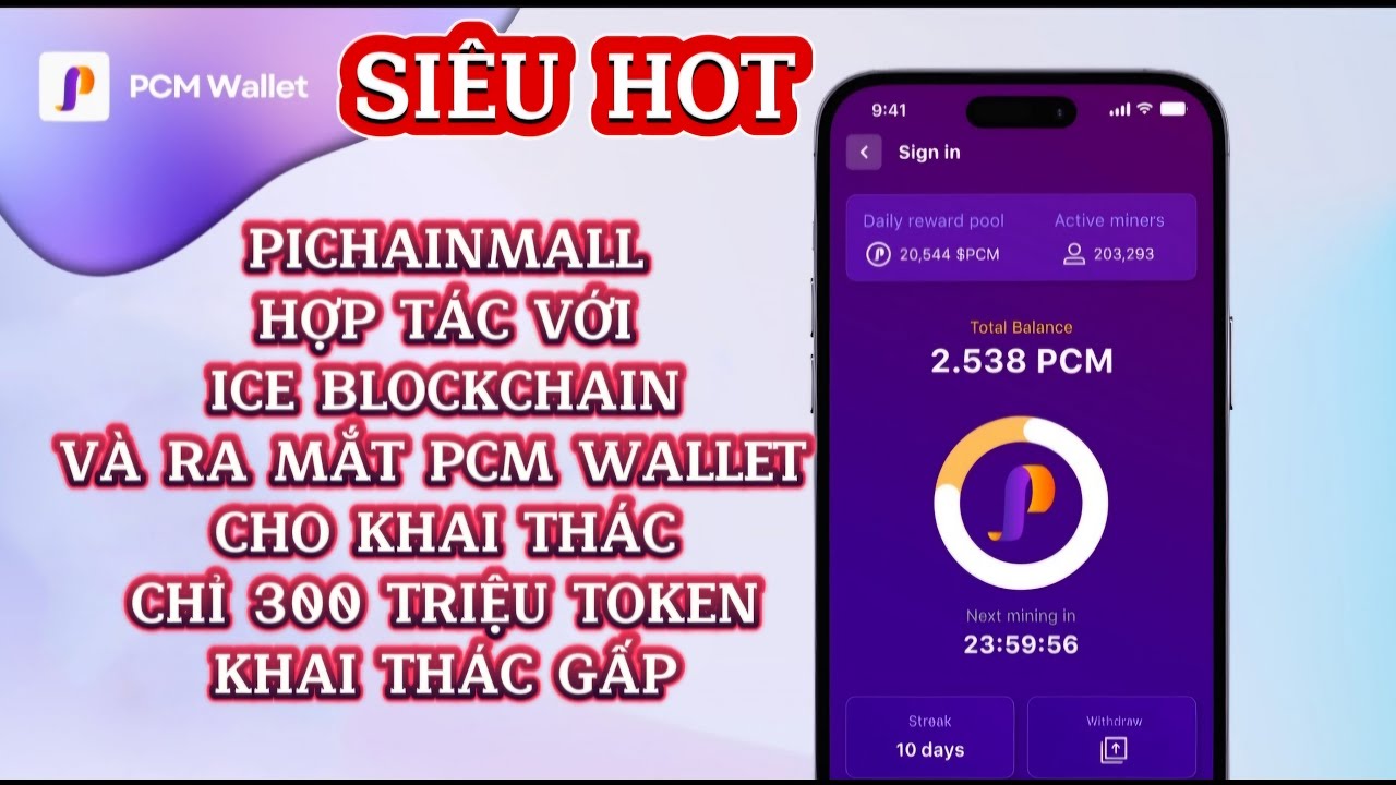 TIN SIÊU HOT: PICHAINMALL TRONG HỆ SINH THÁI CỦA PI NETWORK RA PCM ...