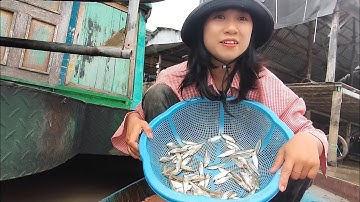 💚Xuân Trang Miền Tây💚cô gái miền tây giăng lưới cá lòng tong mà dính toàn cá lành canh 