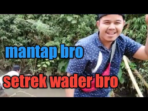 mancing-ikan-wader-strike-babon
