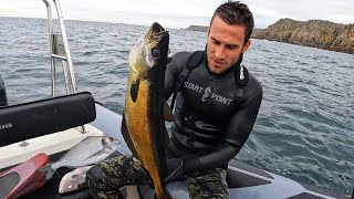 Uk Spearfishing Gilthead Bream, Triggerfish, Pollock And Bass Catch And Cook