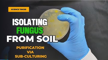 Hunting for soil microbes: The colourful world of #Trichoderma @sciencetingss