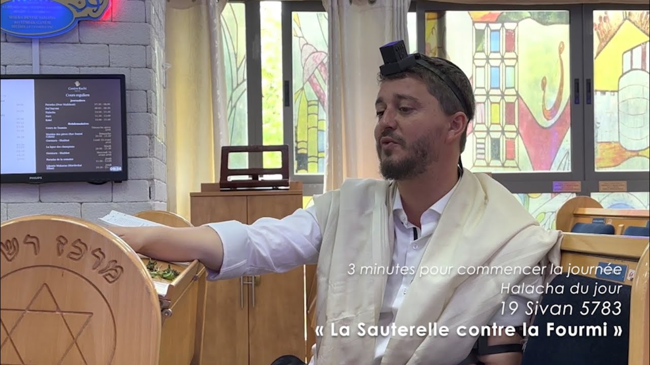 3MN DE TORAH POUR COMMENCER LA JOURNÉE - LA SAUTERELLE CONTRE LA FOURMI