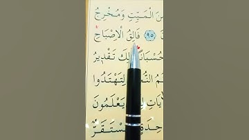 سورة الأنعام الأية 95 إلى 97 القارئ سعد الغامدي