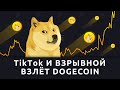 Tik Tok и взрывной взлёт Dogecoin