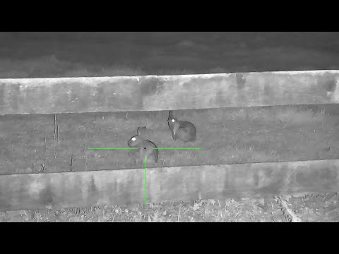 Цифровий приціл нічного/денного бачення з лазерним далекоміром Sytong HT-60 LRF, видео 1