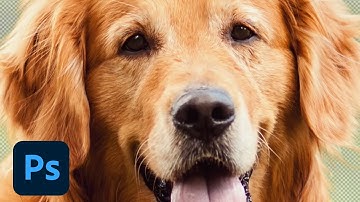 Photoshop Magic Minute: Using the Refine Edge Brush | Adobe Photoshop