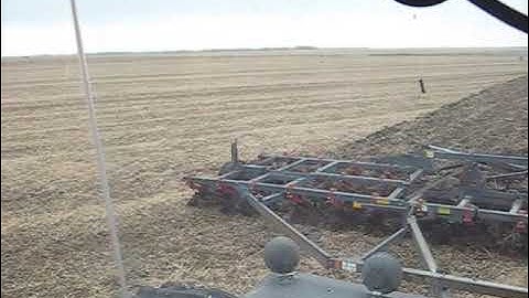Cultivating bean stubble