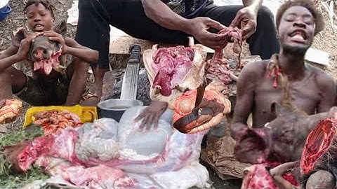 Discover Hadzabe Tribe|African Hunters Successfully Hunt Alot of Monkeys