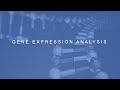 Gene expression analysis in partek flow bioinformatics software