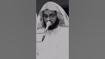 شيخ رعد محمد الكردي اجمل حالات واتس اب دينية سورة الطور 🌿🖤