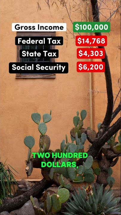 Living on $100,000 After Taxes in New Mexico #newmexico #taxes #democrat #republican #salary