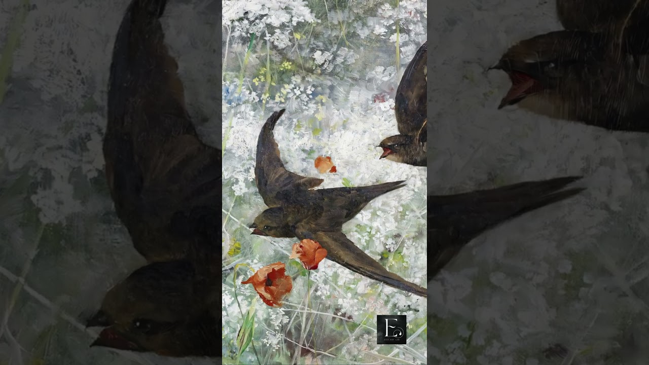 Birds That Never Land