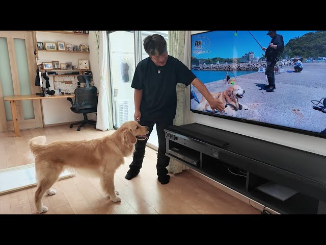 A video of my previous dog that I couldn't watch because it