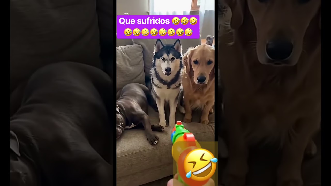 Esto si dolió