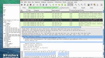 tshark field extraction