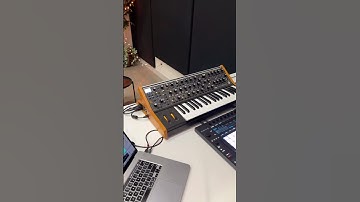 Moog Subsequent 37 and Push 3 combo | Riser  #moog #ableton
