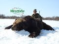 Bärenjagd auf Kamtschatka mit Westfalia Jagdreisen - Teil 1