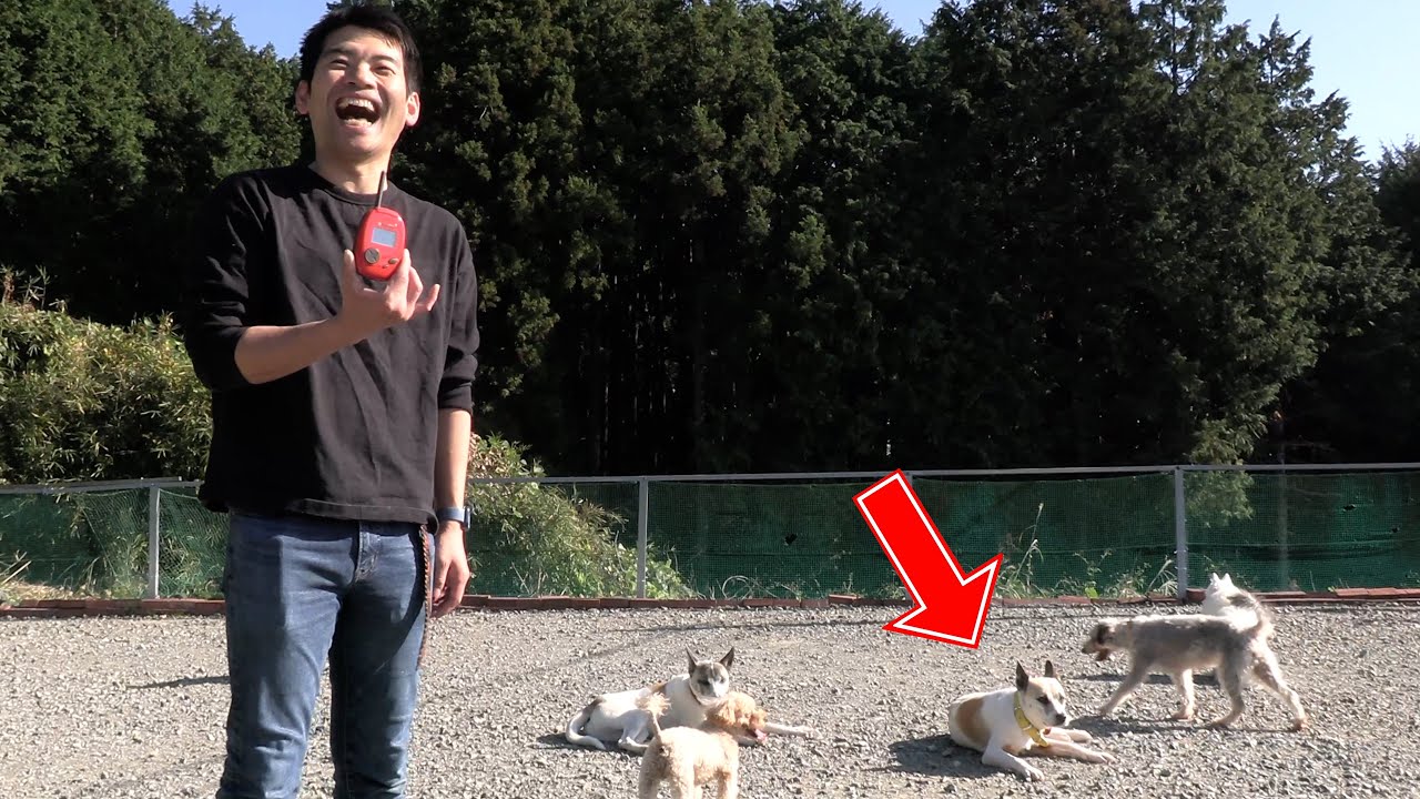 キキちゃんがたくさんしゃべってくれました - YouTube 