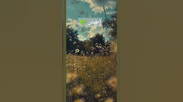 القرآن الكريم/ تلاوة خاشعة/ ترتيل #quran #القرآن_الكريم #راحة_نفسية