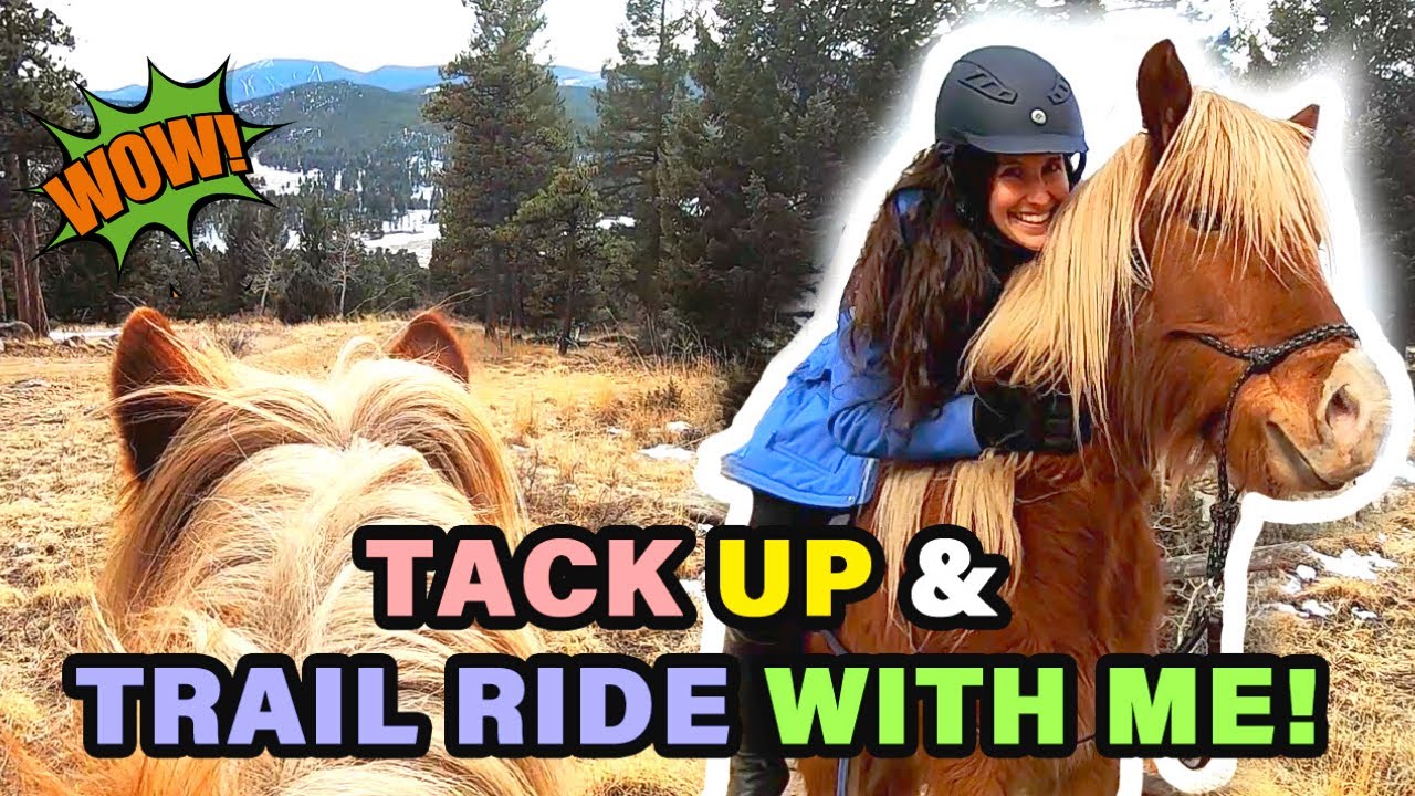 Tack up and Ride with Me Colorado Trail Ride on an Icelandic Horse