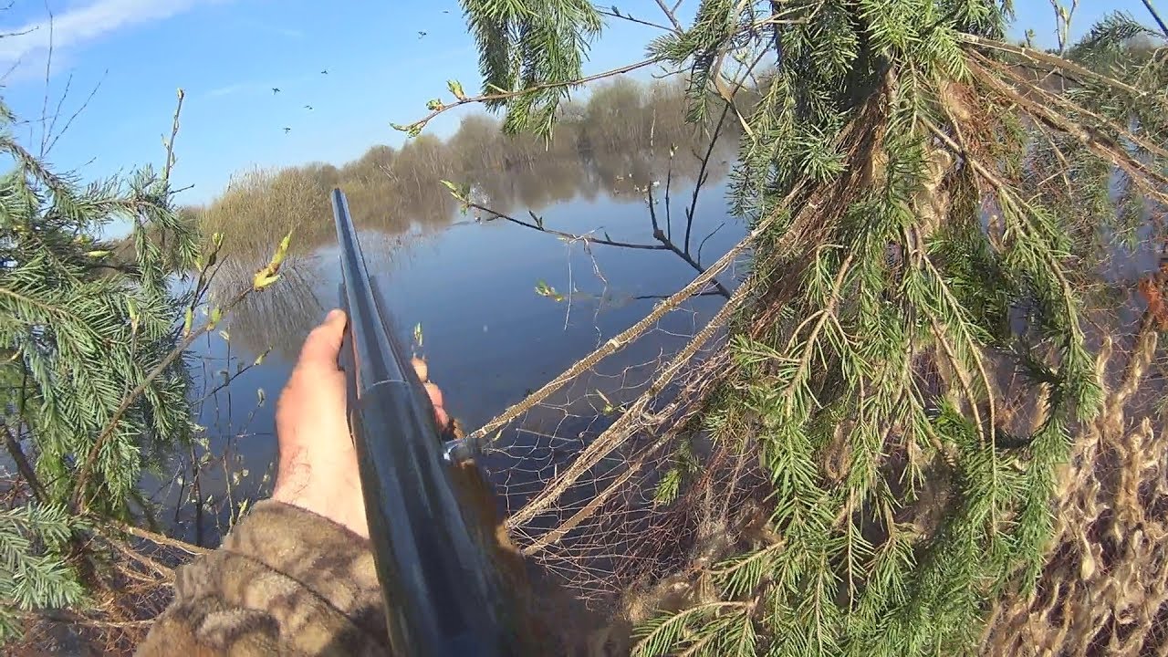 Открытие охоты,  весна 2019 #2