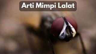 Arti Mimpi Lalat