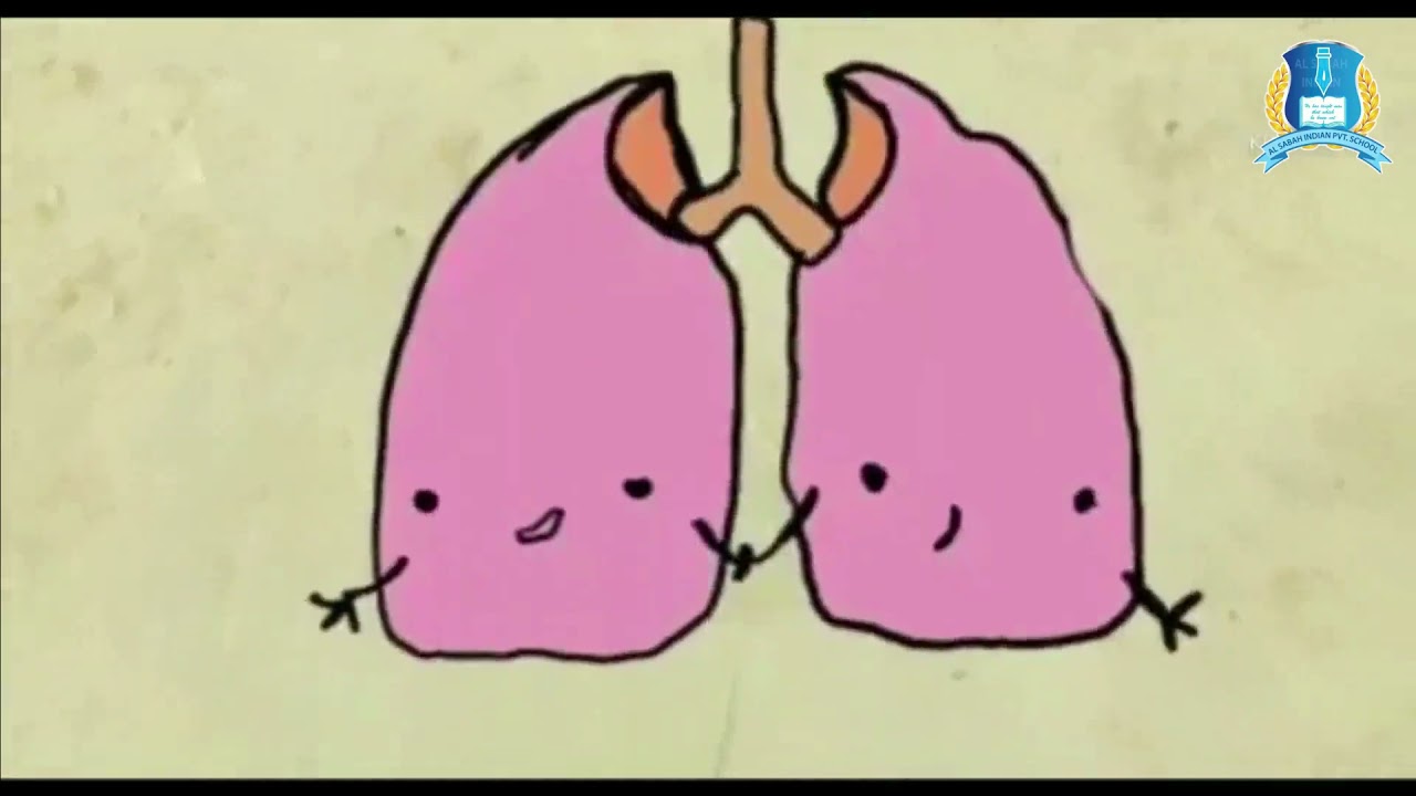 THE LUNGS STORY | GREAT WORK AGAINST SMOKING | ASIS KIDS | AL DHAID SHARJAH