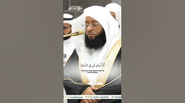 أأمنتم من في السماء أن يخسف بكم الأرض_تلاوة مرئية_صلاة الفجر 24 ربيع الآخر 1446هـ_الشيخ بدر التركي