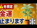 【冬の金運UP】観葉植物を○○に置くと運気が激変！寒い季節に絶対やってはいけない配置5選