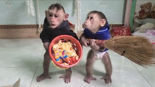 Baby Monkey Kuku buys snacks for Mimi