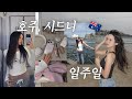 여긴 지금 여름이햐..⛱️ 시드니에서 보낸 일주일