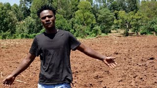 Indeed more blessings are coming...😃😃🤗 Finally starting planting...!!