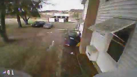 Beebrain Brushless Ripping 1