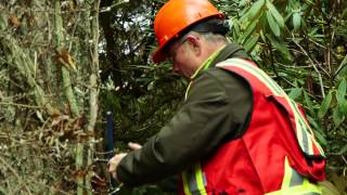 Field Arborist - HortEducationBC