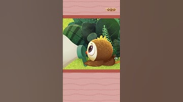 Impressions with Odo | #Odo the Series | Kids Animation, Kids Video, Kids Film #imagination