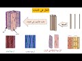 النقل في النبات علوم للصف الرابع / فهيمة ربيع