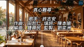 真心難尋 - 許志安 (伴奏)