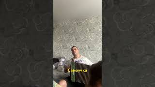 картинка: #журавли #гармошка #самоучка