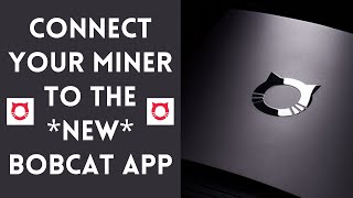 How To Connect Your Bobcat Miner To The Bobber Hotspot App (HNT Helium Mining Setup)